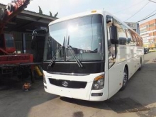 В Сочи рассчитывают на челнинские автобусы